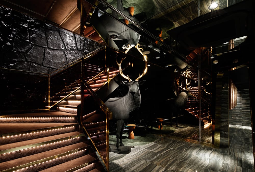 【ZOO六本木で体入】未経験でも安心！高時給＆手厚いサポートで夢を叶える完全ガイド